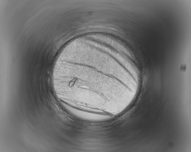 X0000114211497200911201011