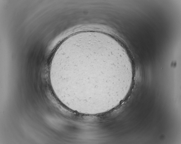 X0000114211498200911201011