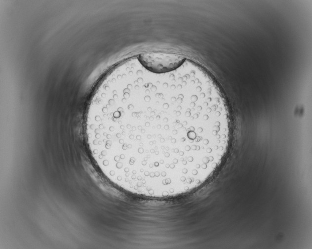 X0000114211499200911201011