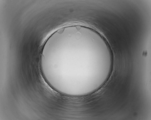 X0000114211500200911201011
