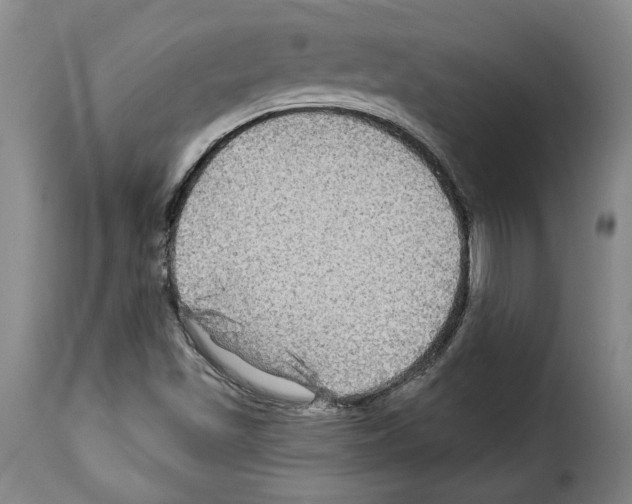 X0000114211501200911201011