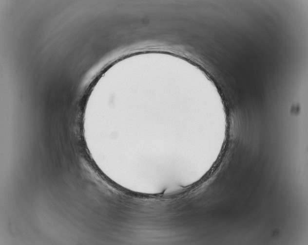 X0000114211502200911201011
