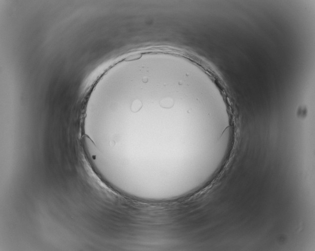 X0000114211504200911201011