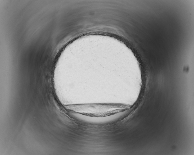 X0000114211505200911201011