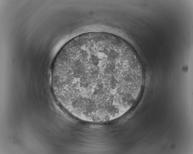 X0000114211509200911201011