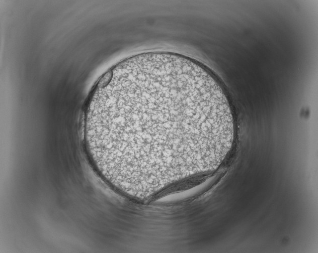X0000114211510200911201011