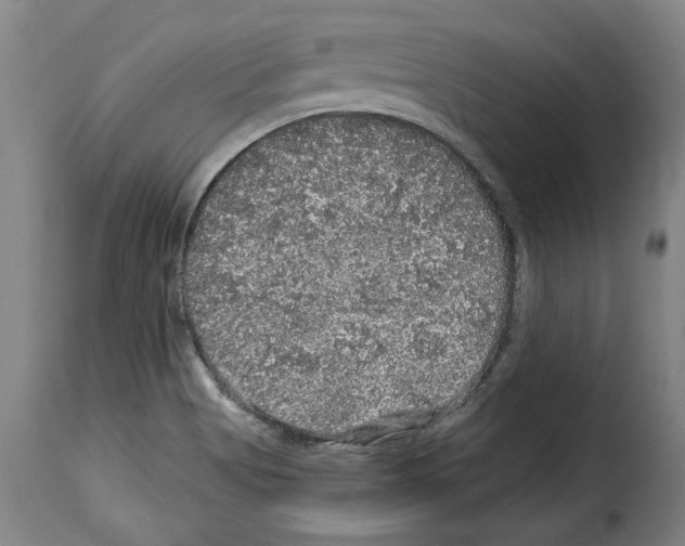 X0000114211513200911201011