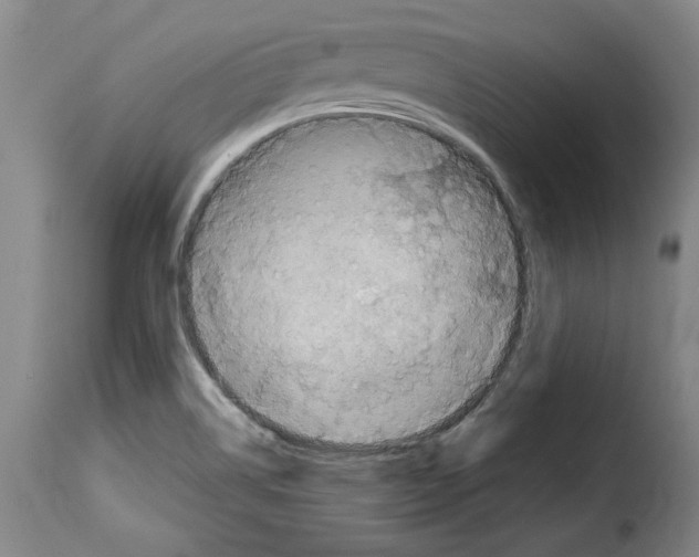 X0000114211514200911201011