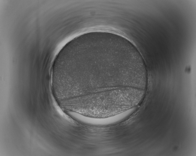 X0000114211515200911201011
