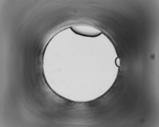 X0000114211516200911201011