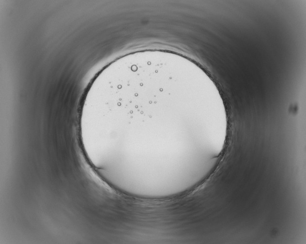 X0000114211518200911201011