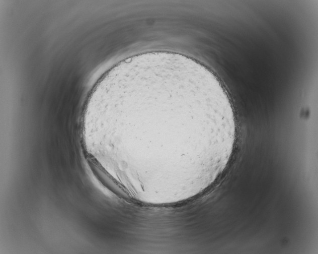X0000114211519200911201011