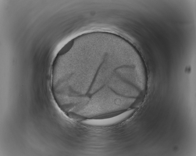 X0000114211520200911201011