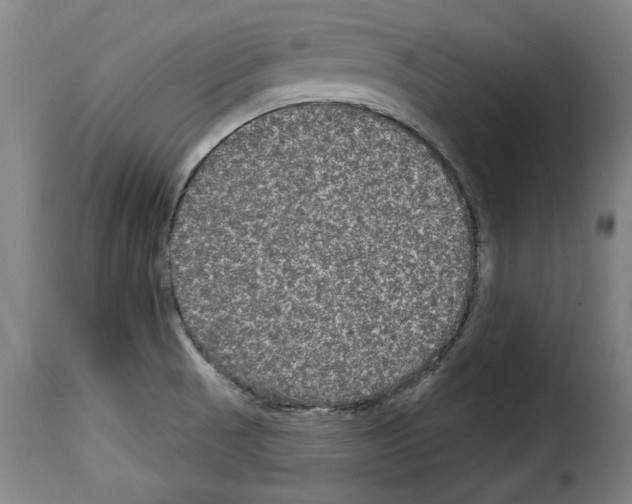 X0000114211521200911201011