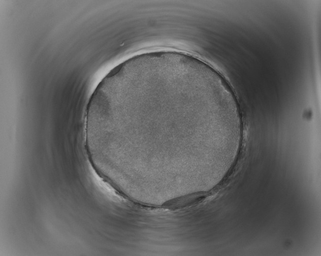 X0000114211524200911201011