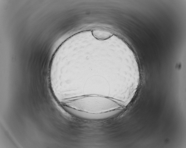 X0000114211525200911201011