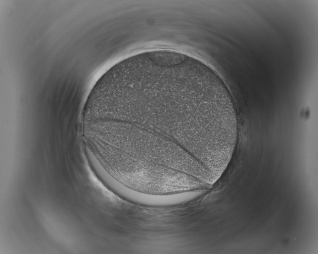 X0000114211527200911201011