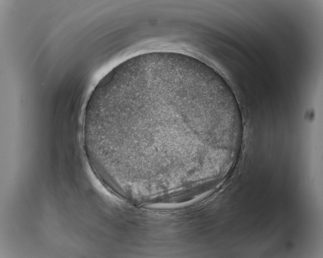 X0000114211528200911201011