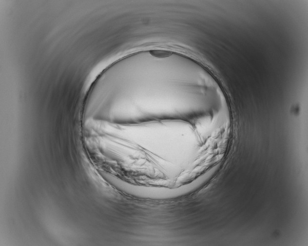X0000114211530200911201011
