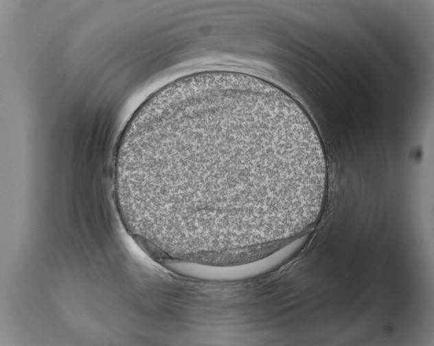 X0000114211531200911201011