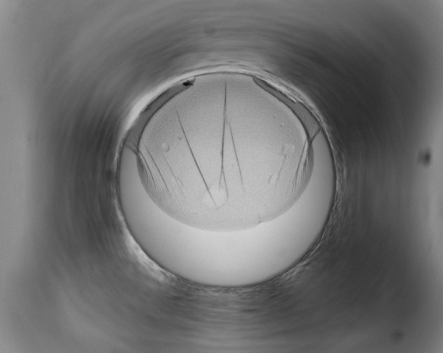 X0000114211532200911201011