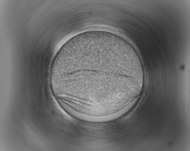 X0000114211533200911201011