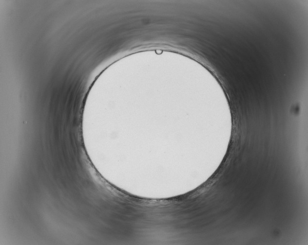 X0000114211534200911201011