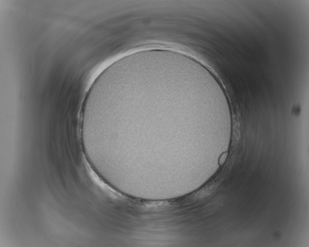X0000114211535200911201011