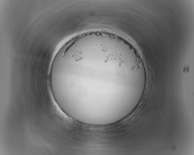 X0000114211536200911201011