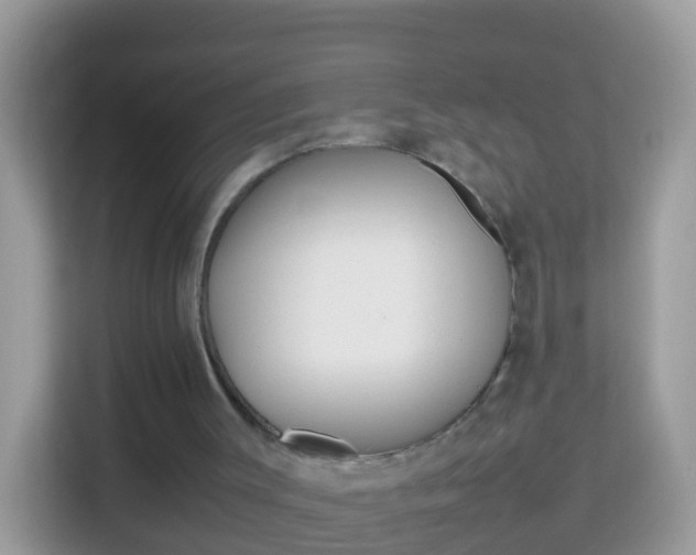 X0000114220003200910091058