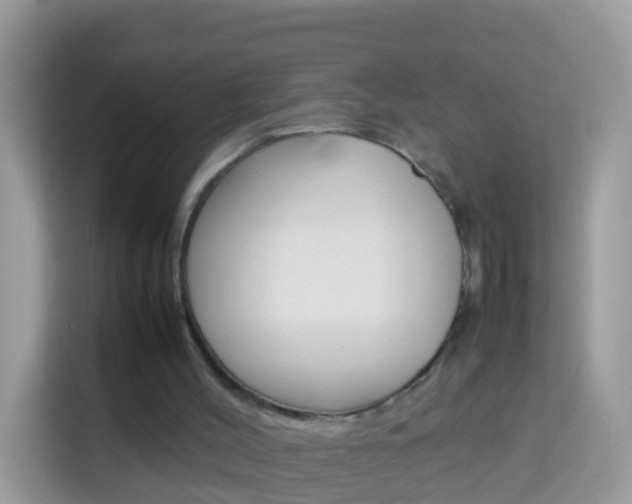 X0000114220004200910091058