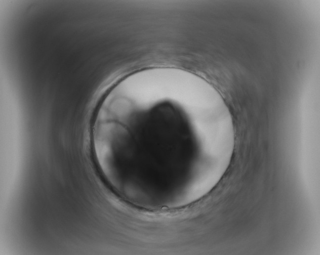 X0000114220005200910091058
