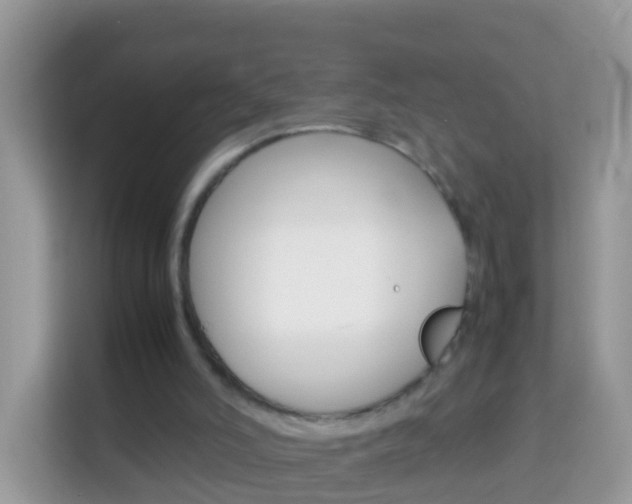 X0000114220006200910091058