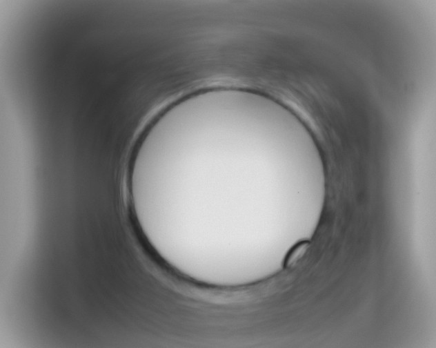 X0000114220011200910091058