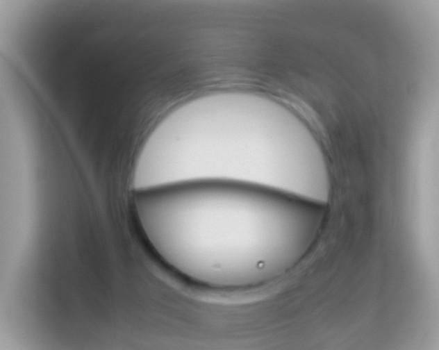 X0000114220017200910091058