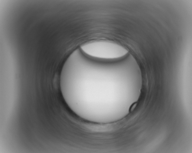 X0000114220036200910091058
