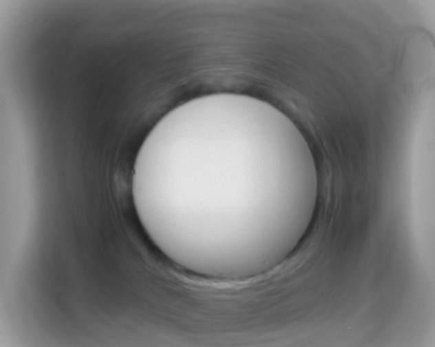 X0000114220040200910091057