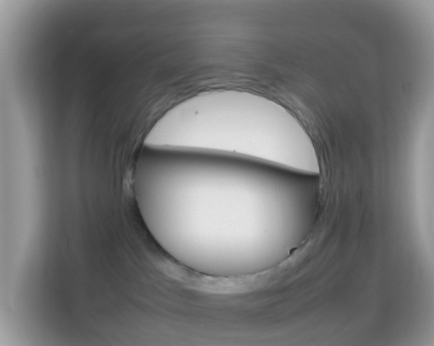 X0000114220045200910091057
