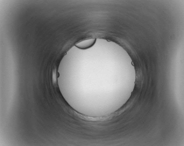 X0000114220046200910091057