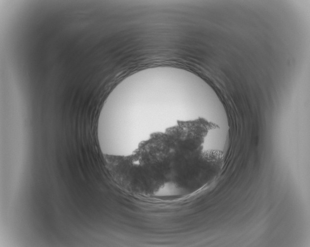 X0000114220048200910091057