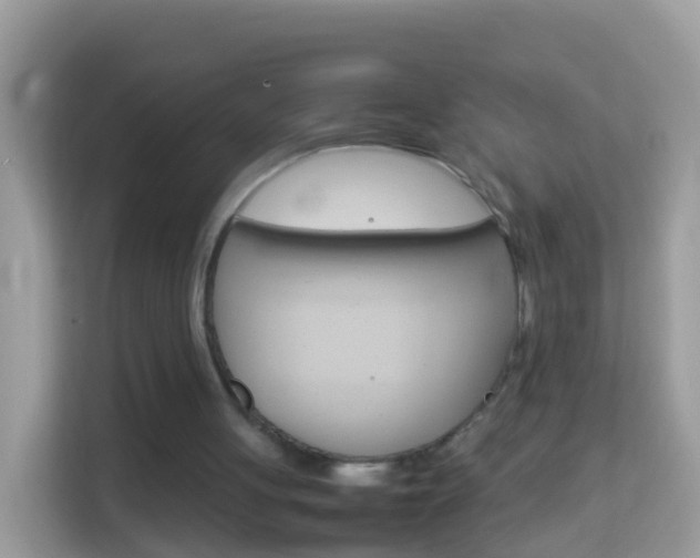X0000114220051200910091057