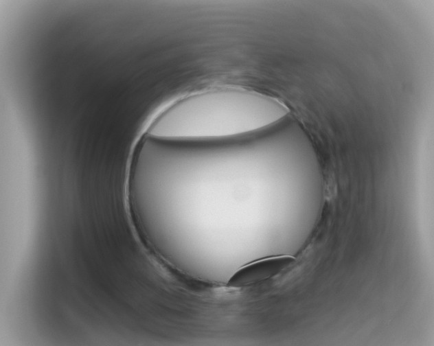 X0000114220052200910091057