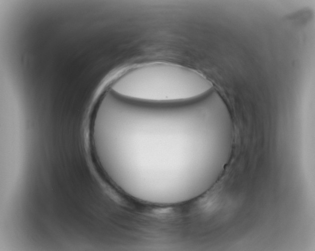 X0000114220054200910091057