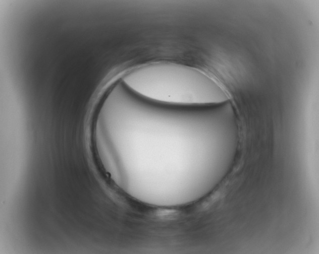 X0000114220055200910091057