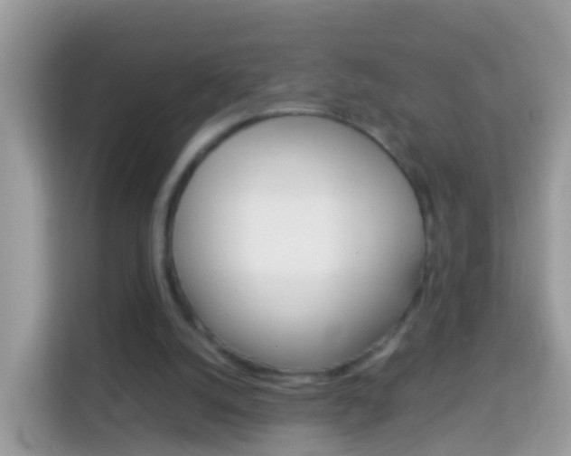 X0000114220056200910091057