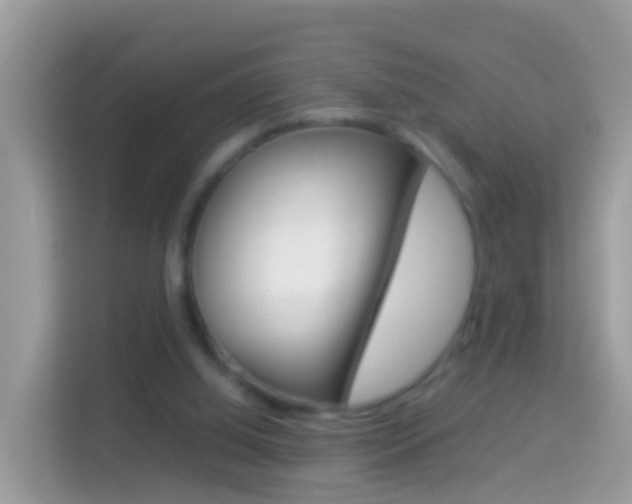 X0000114220060200910091057