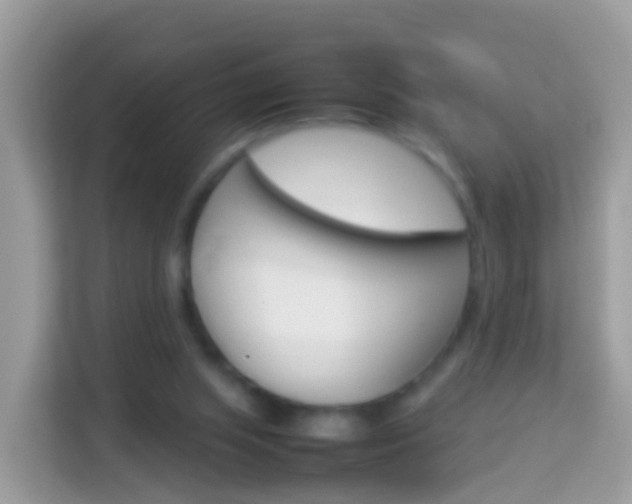 X0000114220063200910091057
