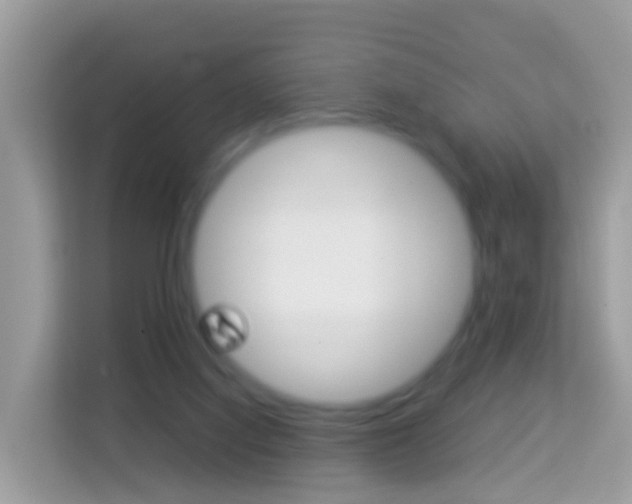 X0000114220068200910091057