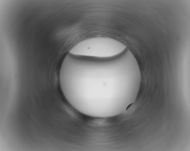 X0000114220086200910091057