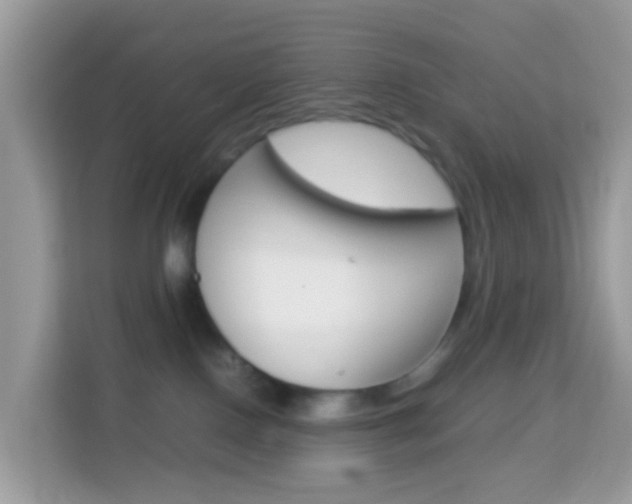 X0000114220090200910091057
